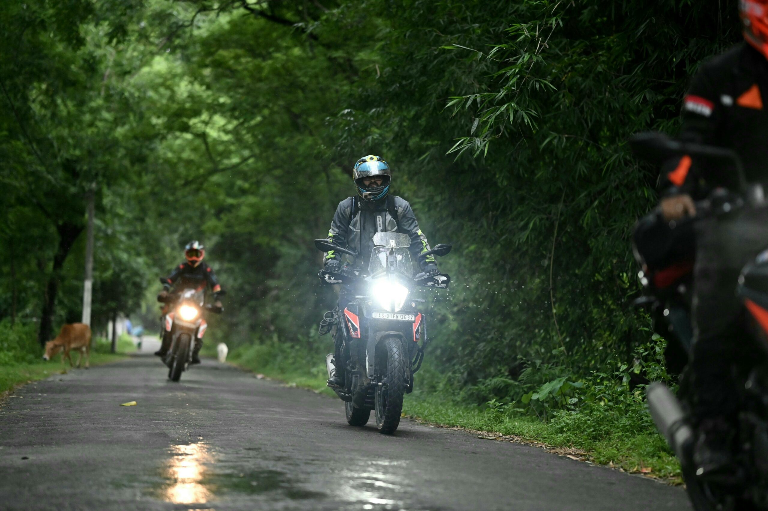 Riding through green valleys of North East India